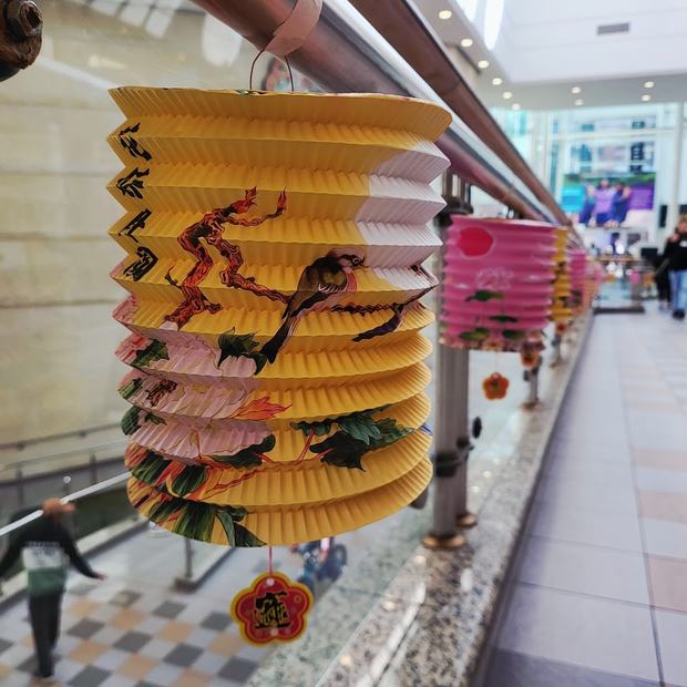 Paper lanterns · 紙燈籠